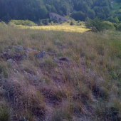 Jedno pekné popoludnie