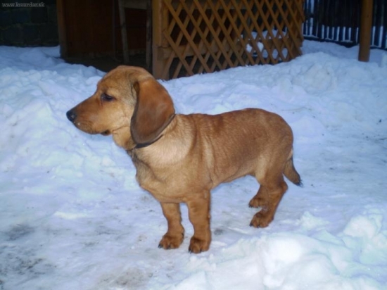 ABJ-Uno z Udolí Rožnova