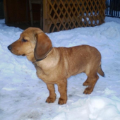 ABJ-Uno z Udolí Rožnova