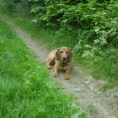 Uno z Udolí Rožnova