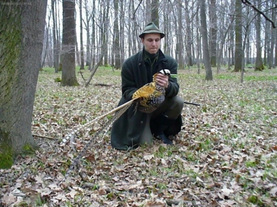 kralovák