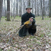 kralovák