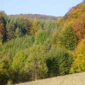 Jesenná