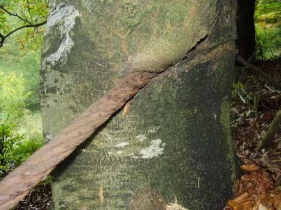 Tak ide čas...pomaly, ale isto...