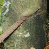 Tak ide čas...pomaly, ale isto...