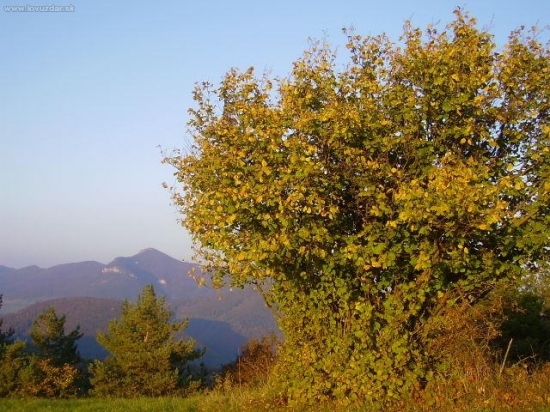 Z Končiny na Strážov