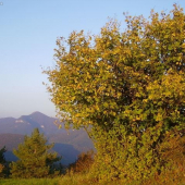 Z Končiny na Strážov