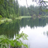 Vrbické pleso v lete