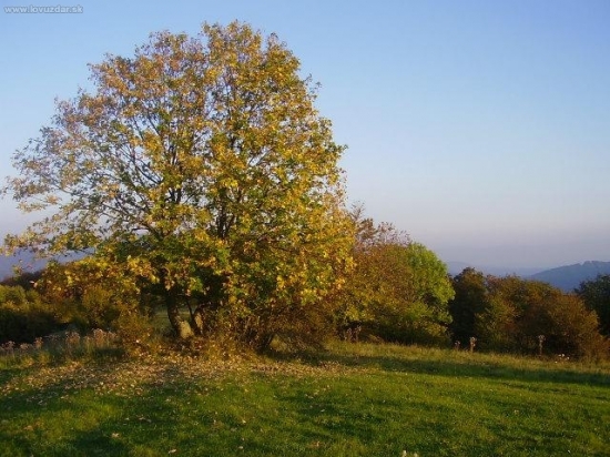 Na Končine