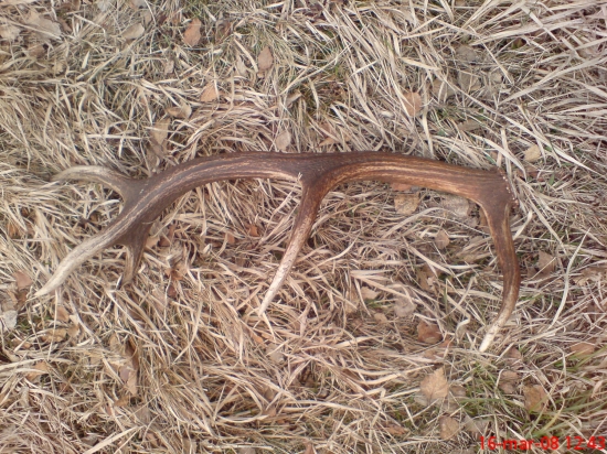 po 25 km, na buchvaldskych lukach(staršia spomienka)