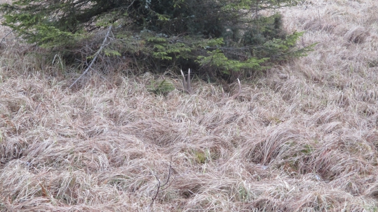 prvý pohľad,už som chcel isť preć