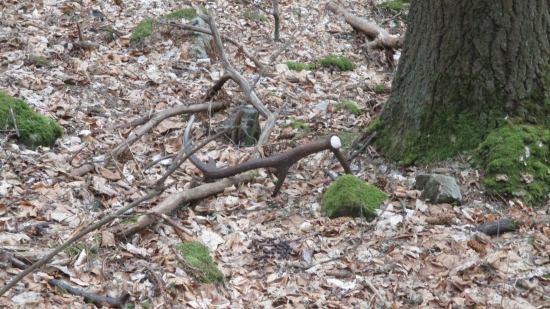 Druhý do páry k ID 290484