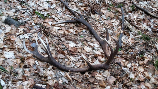 Prvoapríľová pára spolu