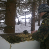 vysoko kalorická strava