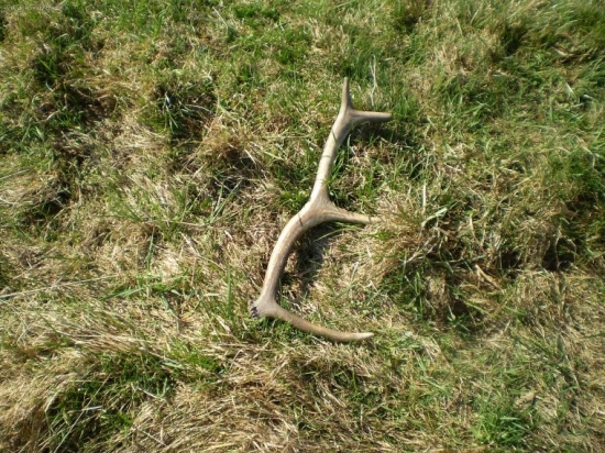 konečne sa začalo dariť