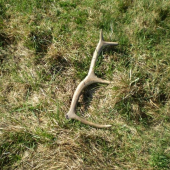 konečne sa začalo dariť