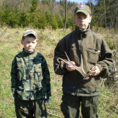 prechádzka jarným lesom ..