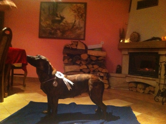 Ida od Dlouhého rybníka MVP Trenčín ,V1,CAC,CACIB,BOB