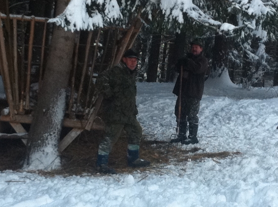 Prikrmovanie PZ Siná