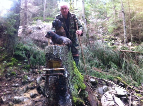 Pri doplnení soliska