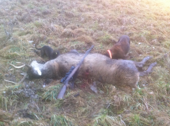 Tento týždeň tretia