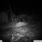 tak a už je odskúšaná