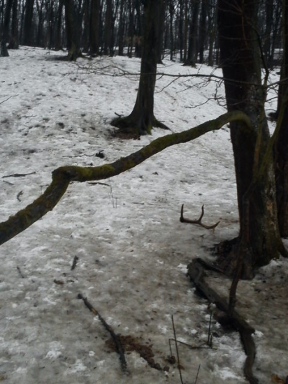 prvý pohlad pára k ID 196331