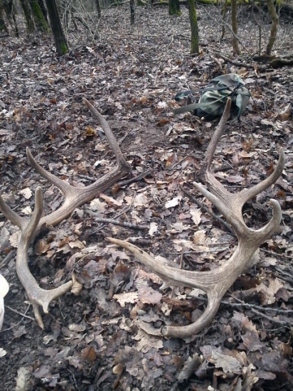 Krásna spomienka na min.rok