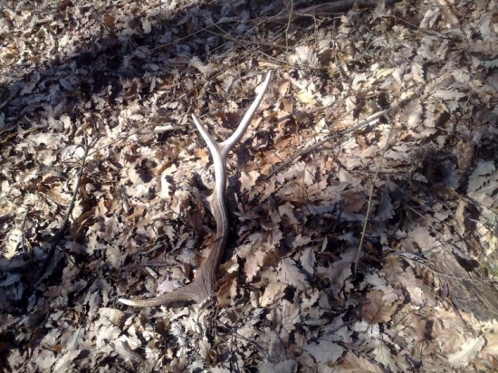 takto si ma počkal!