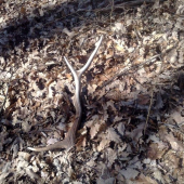 takto si ma počkal!