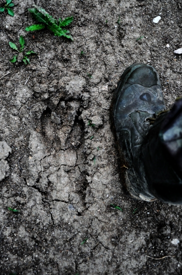 poriadne velky to mohol byt