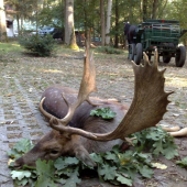otcov daniel v Madarsku (strieborný)