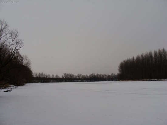 Bačianske dunajske rameno