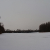 Bačianske dunajske rameno