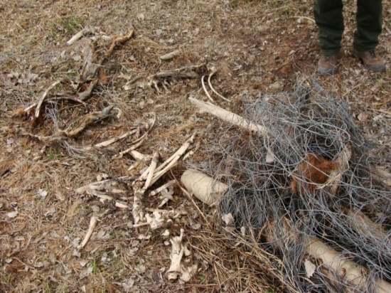 skoda ho... Hlava uz tam nebola