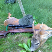 Strelene v Cesku v máji