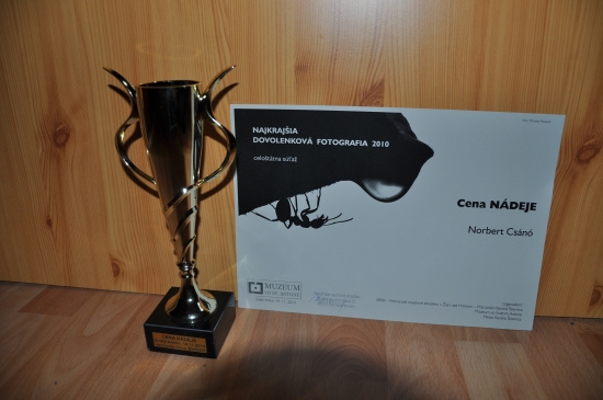 13. Najkrajšia Dovolenková Fotografia 2010