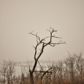 Vedel by rozprávať... :)