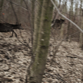 Kvalita nic moc ale zážitok...:)