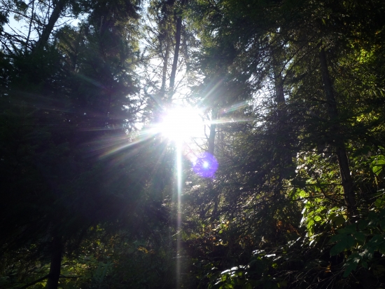 Spominka na letné slniečko