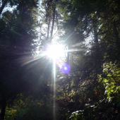 Spominka na letné slniečko