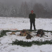 Spoločná poľovačka