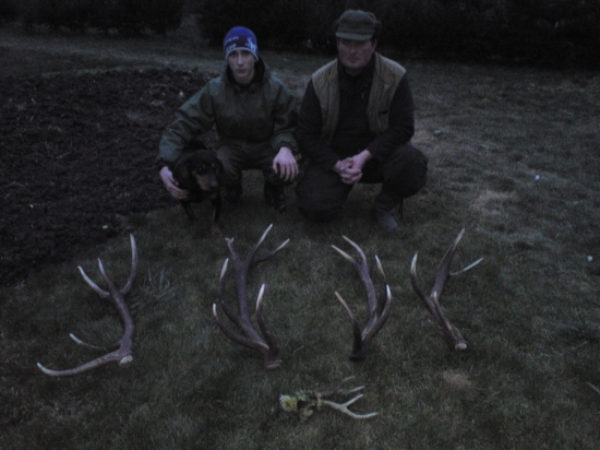 Toto sme našli dnes...