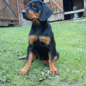 Beky