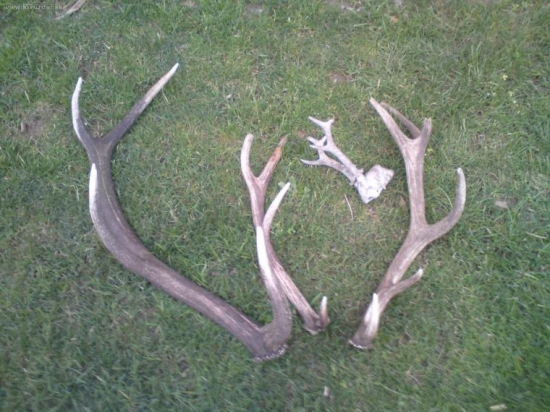 Uspešná Veľkonočná nedeľa