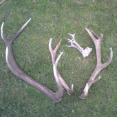 Uspešná Veľkonočná nedeľa