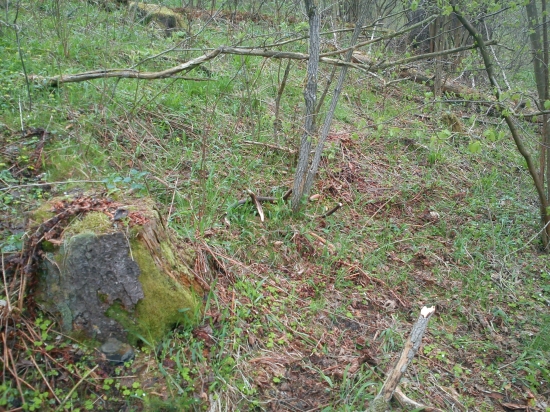 na veľkú noc som si vykupal toto