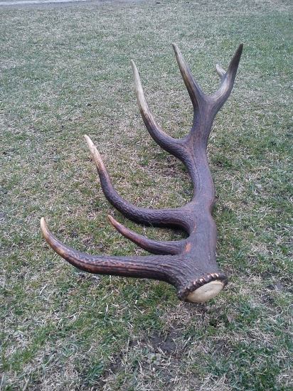 3,40 Kg v plnej kráse