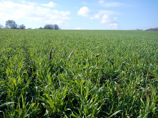 Čo že to tam je...