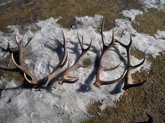 To bol vtedy deň s veľkým D :)